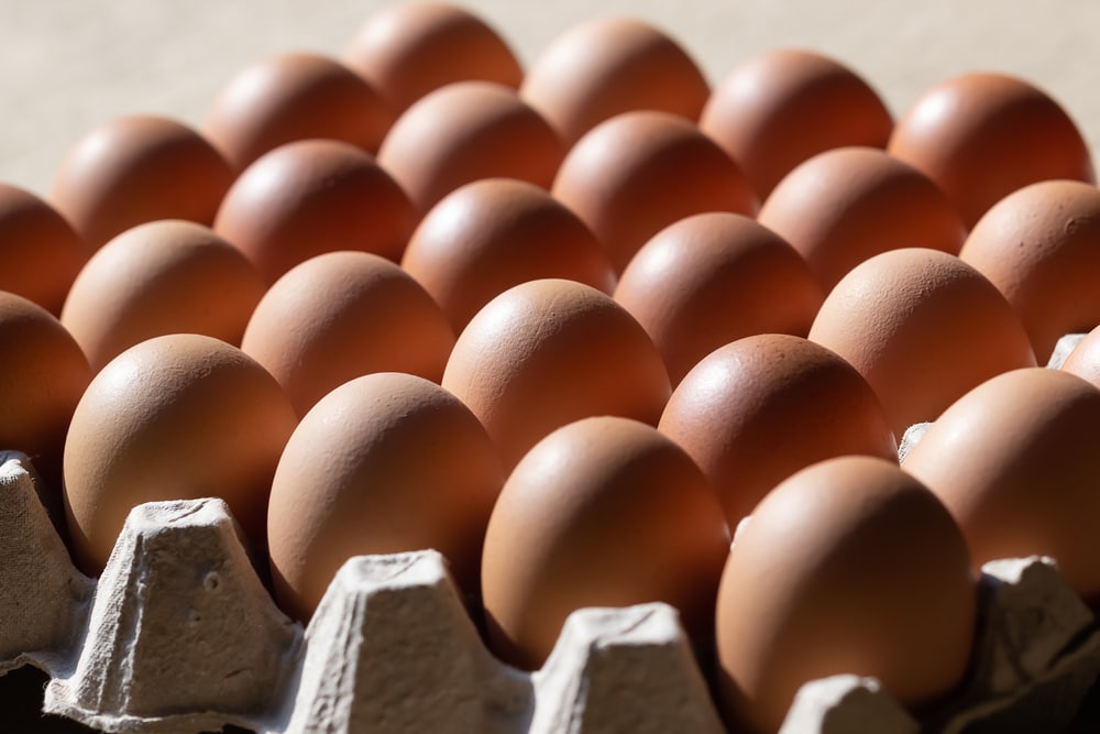 precio del huevo aumentó