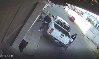 Perros envenenados en Xela: Causa indignación el envenenamiento de perros en Quetzaltenango, el cual fue captado por una cámara.