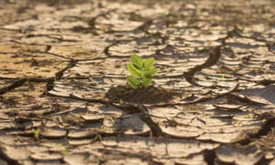 Alertas por condiciones climáticas.