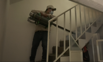 Salud detalla acciones para prevenir el dengue.