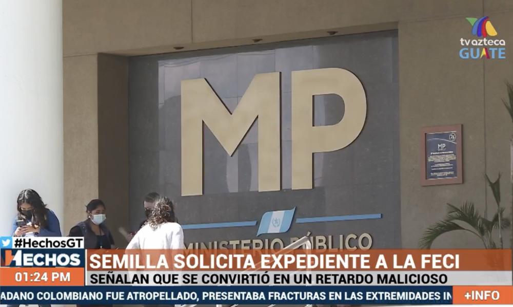 Semilla solicita expediente a la FECI.