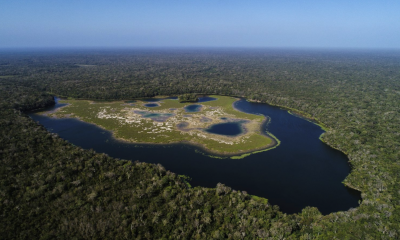 Reserva de la Biosfera Maya