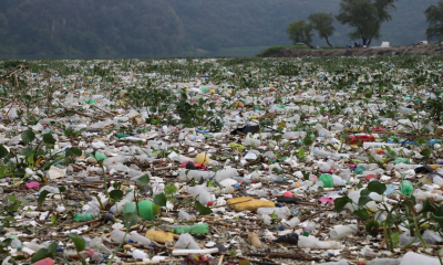 Acumulación de basura Lago de Amatitlán
