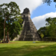 Tikal