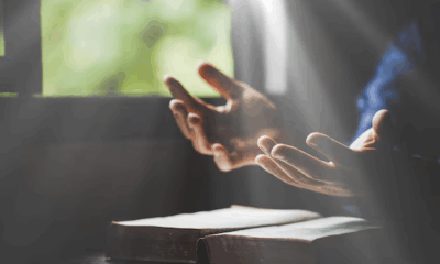 Foto: freepik/doidam10 Rezando / iglesia