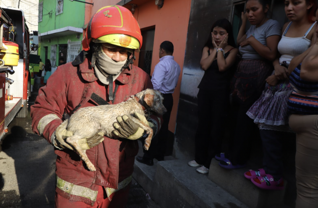 Rescatan mascotas atrapadas en incendio en una vivienda en Mixco