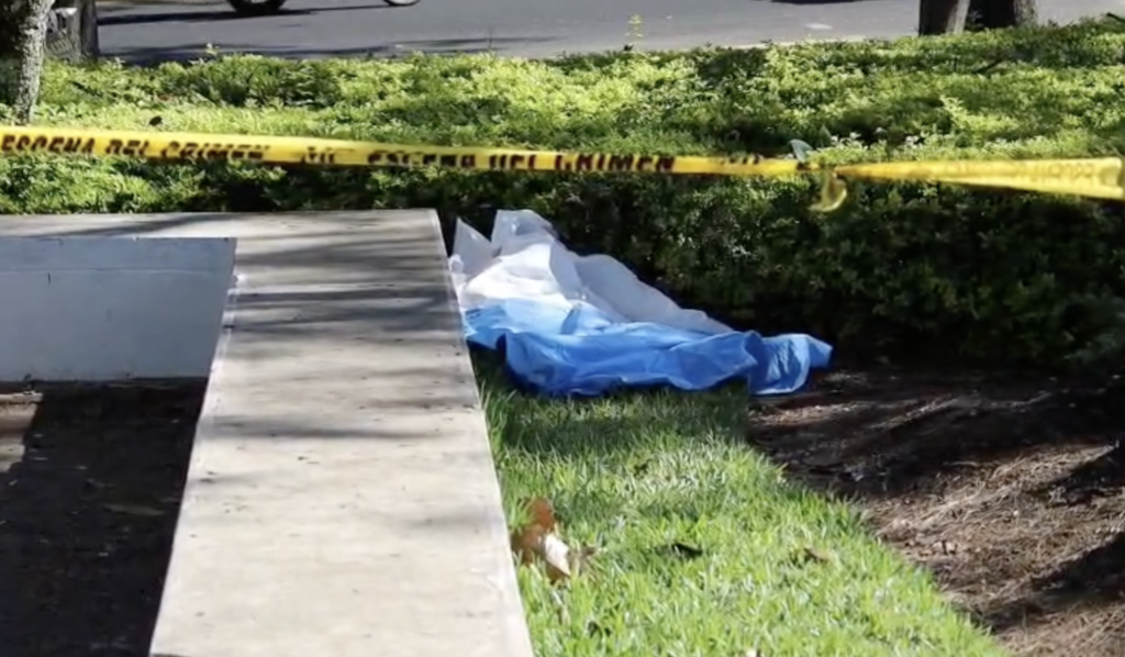 Peatones encuentran cadáver con señales de violencia en Avenida Las Américas
