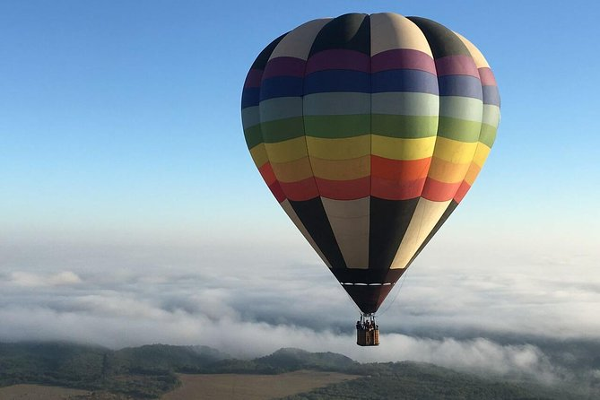 De emergencia: Globo aerostático aterriza en viviendas (video)