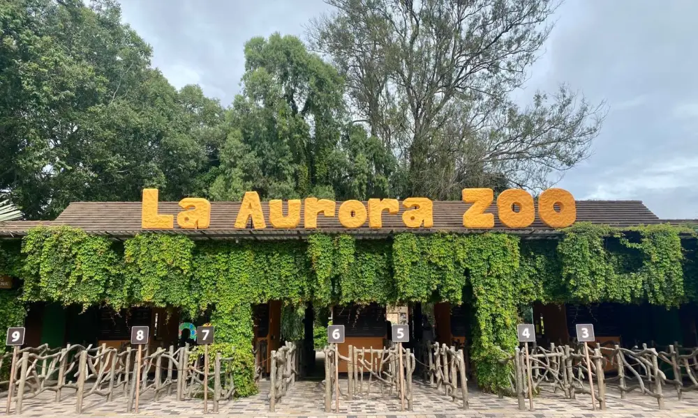 «Campito y Nancy»: Zoológico La Aurora presenta a sus nuevos integrantes (video)