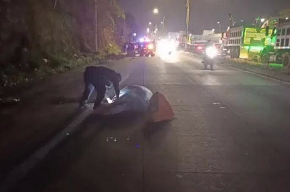 En su cumpleaños: motorista muere tras impactar con una piedra