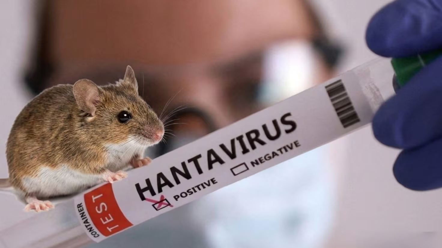 Salud confirma dos guatemaltecos contagiados con hantavirus